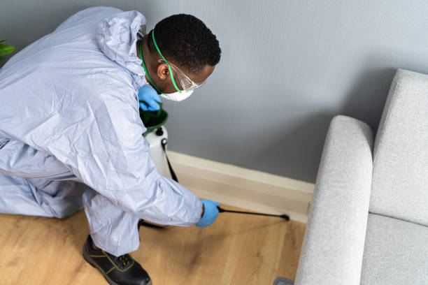 Best Residential Pest Control  in Brices Creek, NC